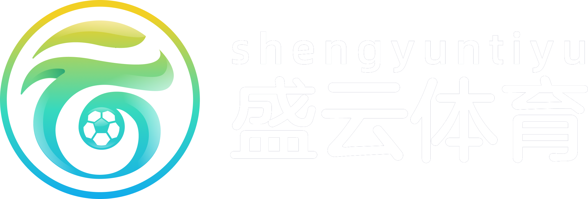 盛云体育